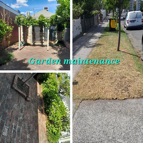 Melbourne-Garden-Maintenance-by-Najim-Cleaning-Service Melbourne Garden Maintenance