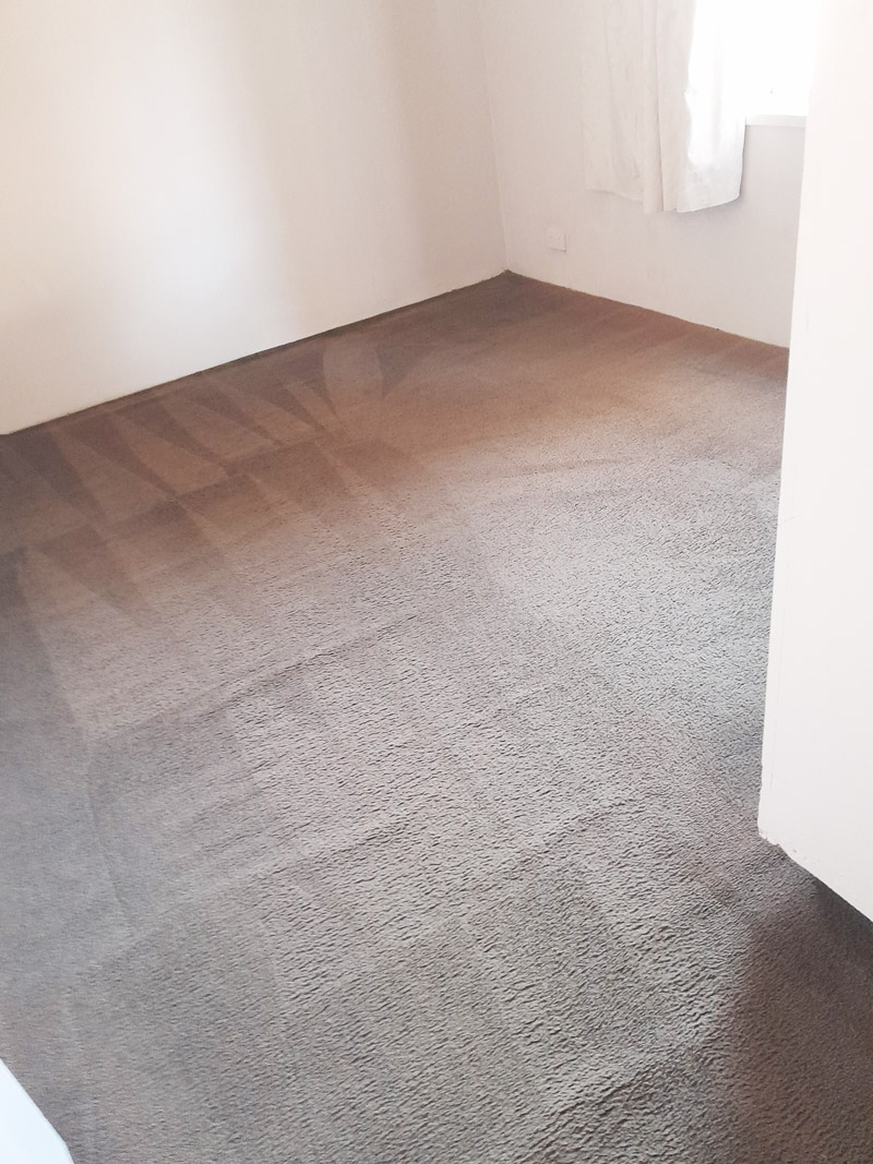 End-of-Lease-Cleaning-Carpet-Steam-Cleaned End of Lease Carpet Cleaning